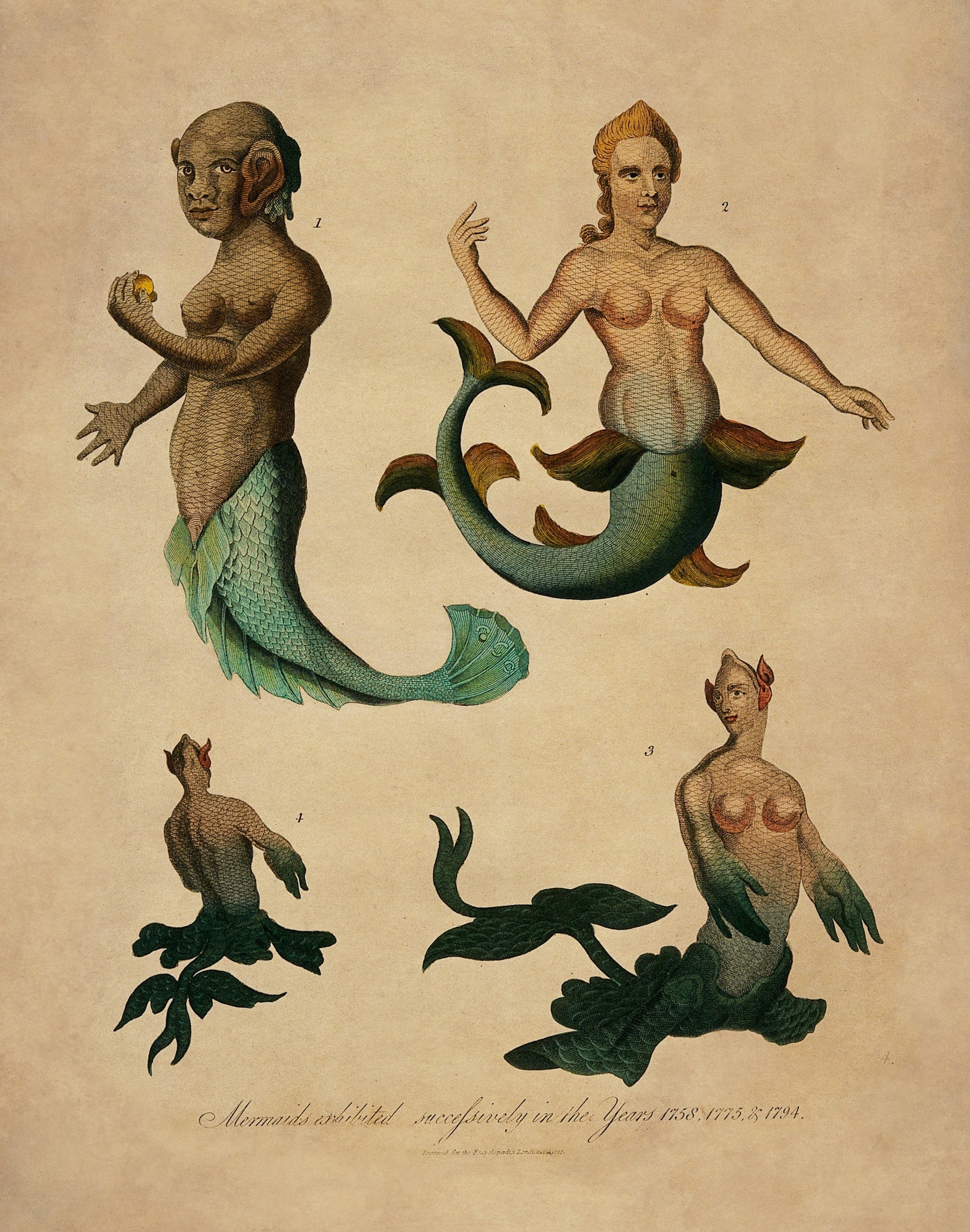 Mermaids exhibited successively in the years 1758,1775 and 1794 Antique Reproduction - Print dated 1817 - Available Framed