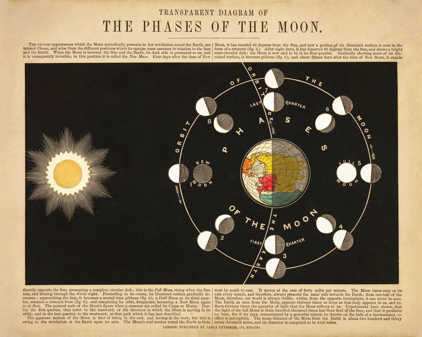 Phases of the Moon Print -  Antique Reproduction - dated 1846 - Astronomy Diagram - Celestial Art - Available Framed