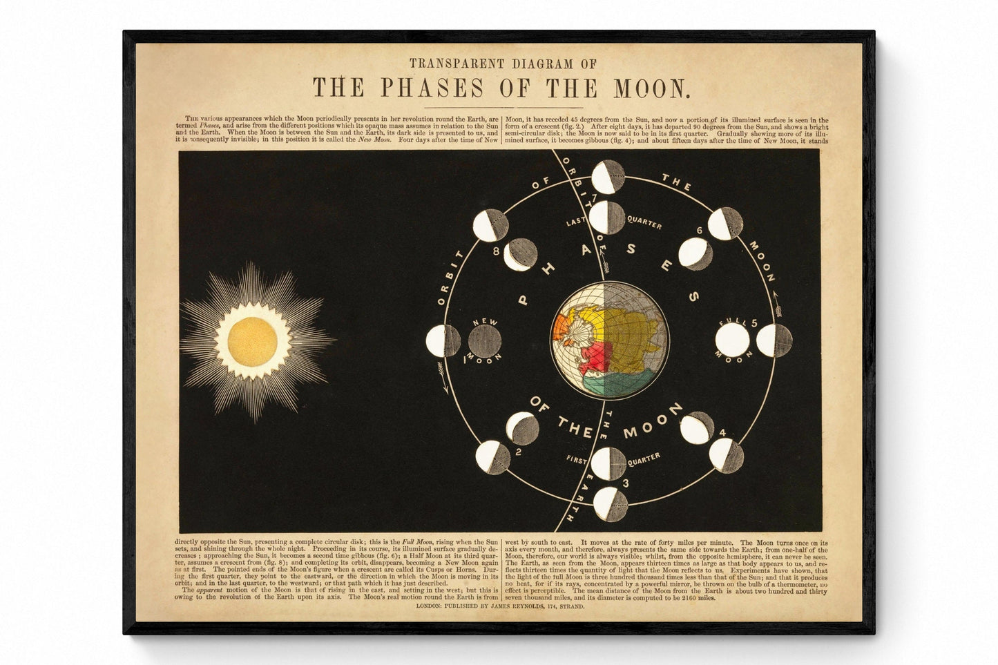 Phases of the Moon Print -  Antique Reproduction - dated 1846 - Astronomy Diagram - Celestial Art - Available Framed