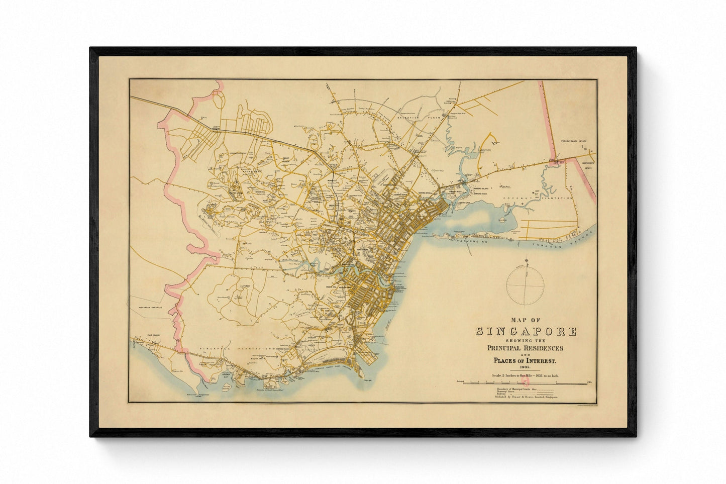 Singapore Map - Antique Reproduction - Dated 1905 - CIty Plan showing  principal residences and places of interest - Available Framed