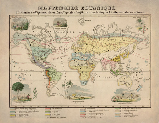 Botanical World Map - Antique Reproduction - dated 1858 - Botany - Plant, Flower, Vegetation - Large Wall Map - Available Framed