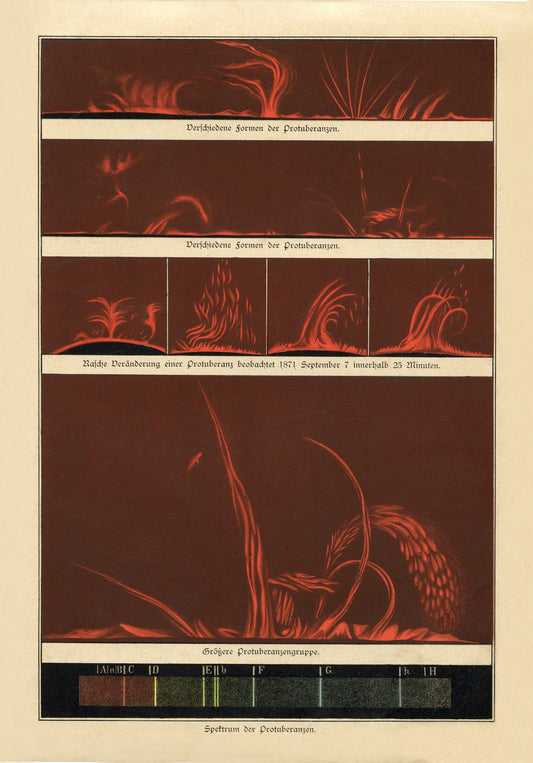 Solar Prominence Antique Art Reproduction - Filament - Sun - Astronomy - Celestial Art - Wall Decor - Available Framed