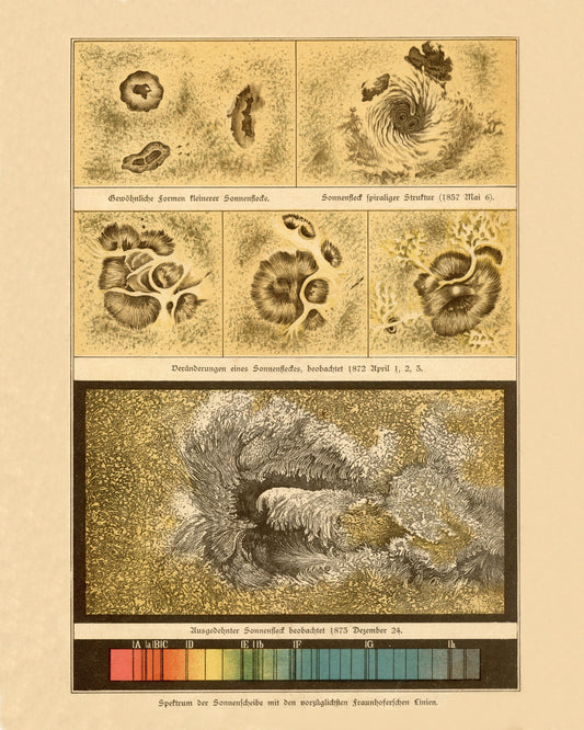 Sunspots and Spectrum Antique Art Reproduction - Solar - Sun - Astronomy - Celestial Art - Wall Decor - Available Framed