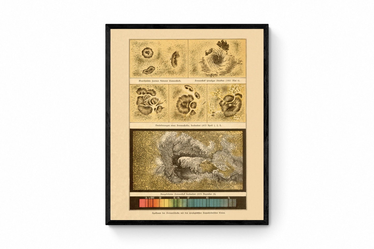 Sunspots and Spectrum Antique Art Reproduction - Solar - Sun - Astronomy - Celestial Art - Wall Decor - Available Framed