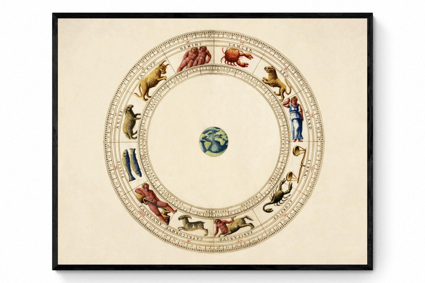 Zodiac Diagram Print