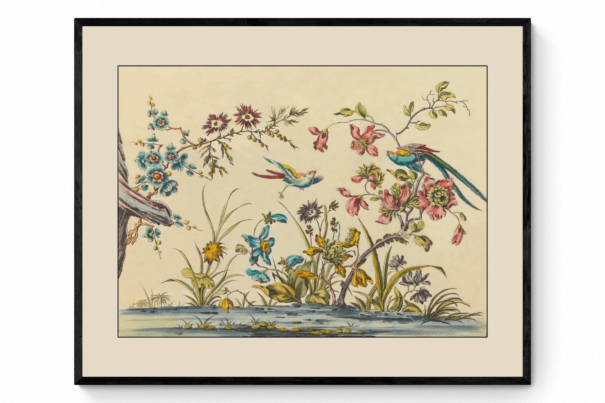 Botanical Bird Print - Chinese Subjects used in painting of Silks - Antique Reproduction - Jean Pillement - dated 1760 - Available Framed