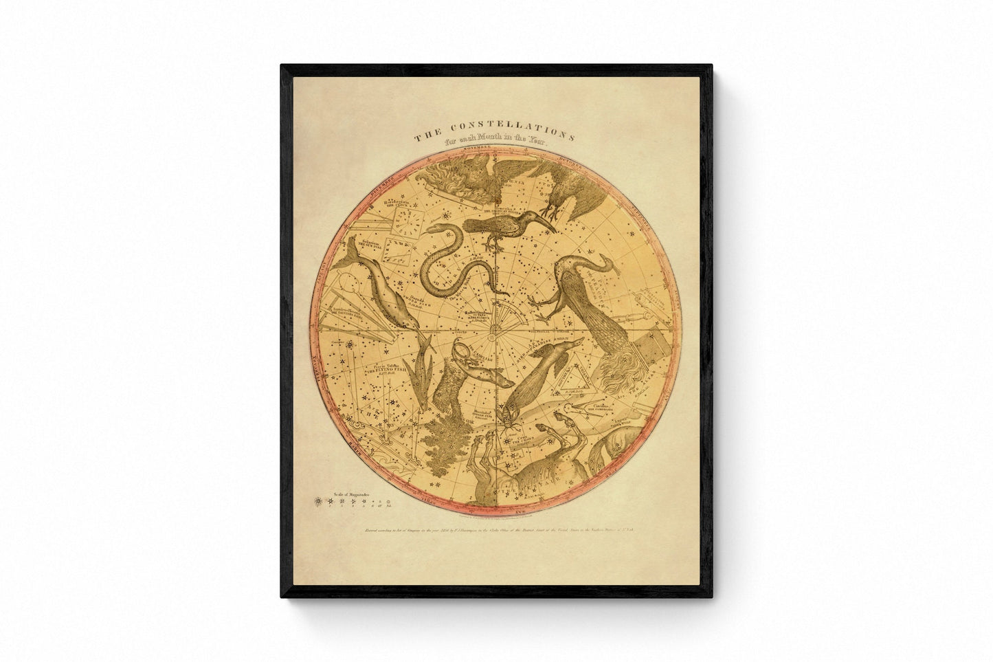 Constellations - dated 1856 - Antique Reproduction - Star Map - Constellation - Astronomy - Zodiac - Star Sign - Astrology - Wall Decor