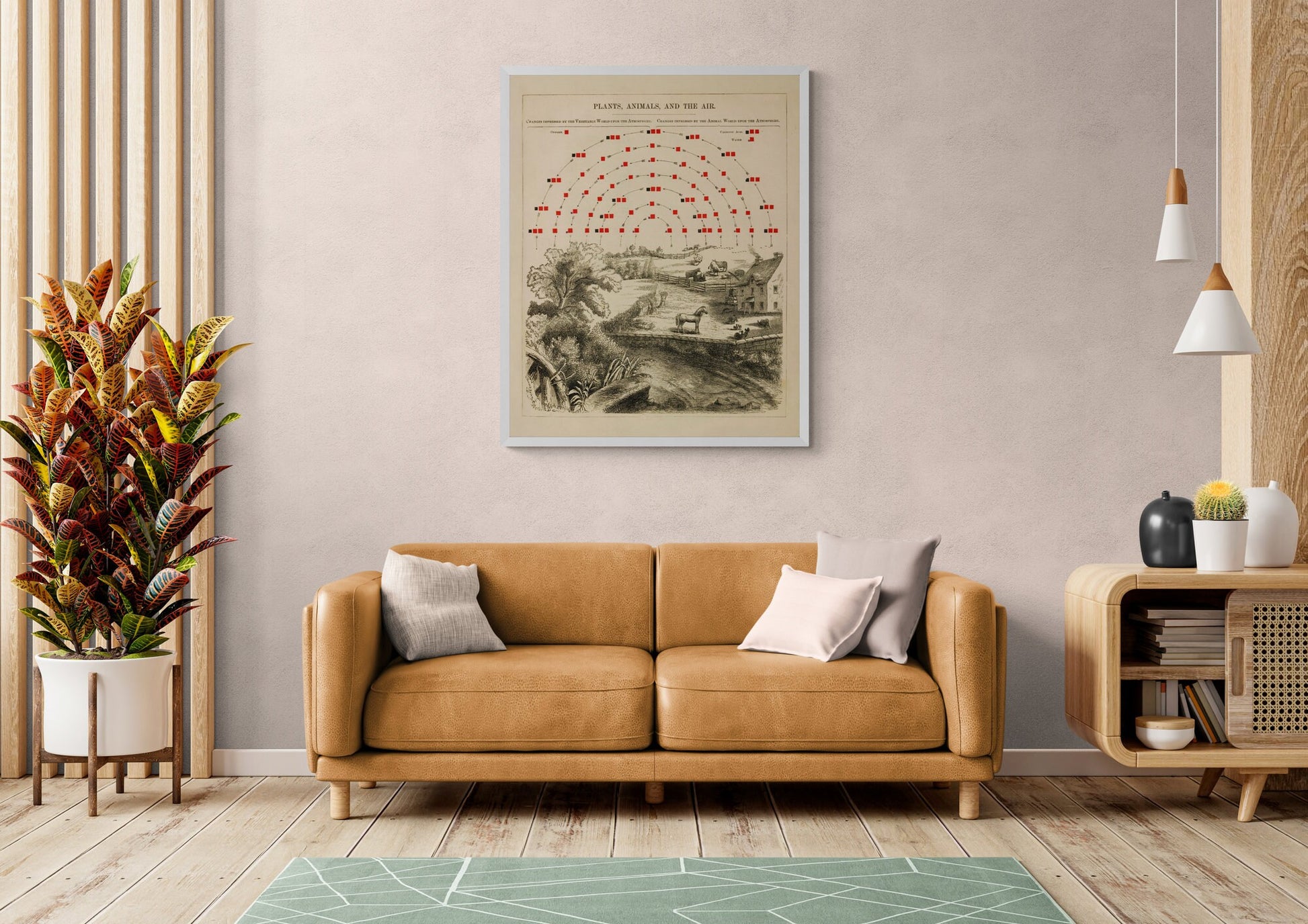 Plants, Animals and the Air Chemistry Diagram - dated 1856 - Antique Reproduction - Available Framed